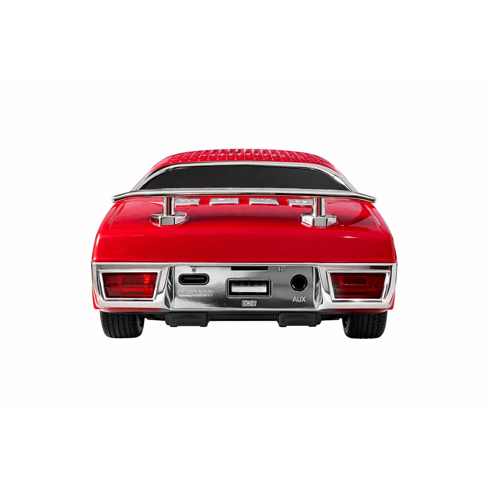 Bluetooth-Lautsprecher WSTER WS-620 10 W – Auto, LED, FM, USB, AUX